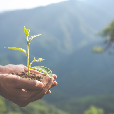 ¿Qué es la COP16?