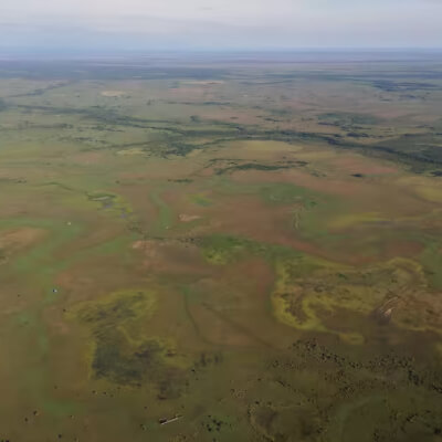 EL ESPECTADOR: Las discusiones de la COP 16 y el rol que tendrá Colombia como país anfitrión