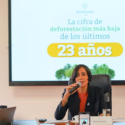 Las apuestas del Gobierno para mantener cifras de la deforestación a la baja