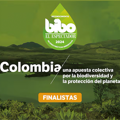 Estos son los mejores proyectos ambientales, finalistas del Premio BIBO 2024