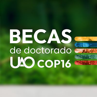 Apertura de Convocatoria de banco de candidatos para becas de doctorado UAO COP16