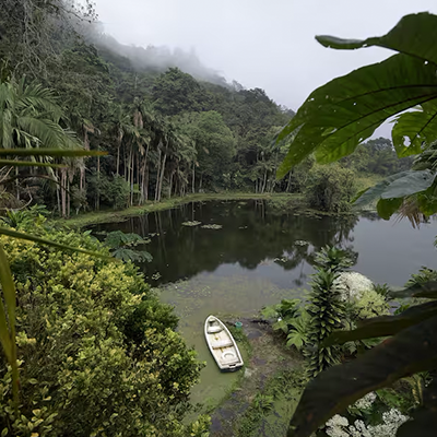 Las cifras para dimensionar la grave pérdida de biodiversidad que enfrenta el planeta